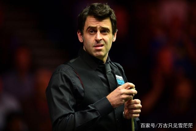 众多粉丝参 众多粉丝参